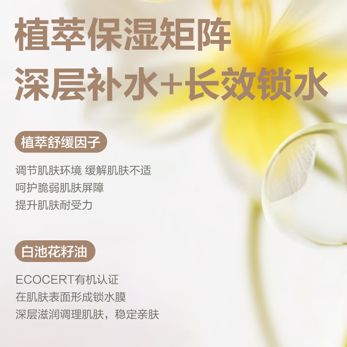 柏缇茶萃系列沐浴 露洗发水套装 保湿净爽沐浴露508ml高清大图