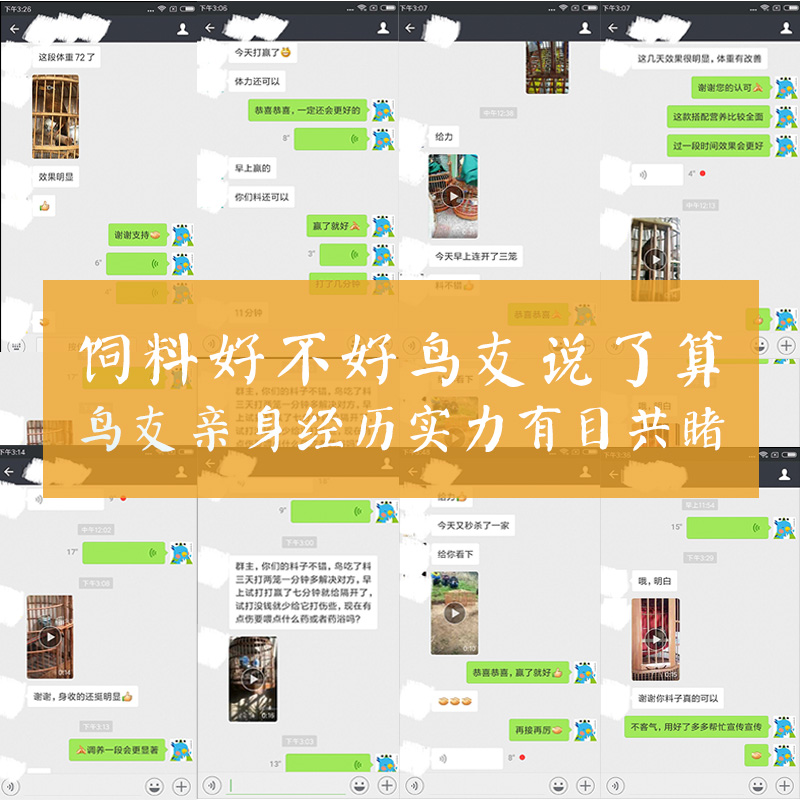 画眉鸟食饲料换毛专用料画眉饲料斗鸟雀王打鸟料唱鸟饲料高清大图