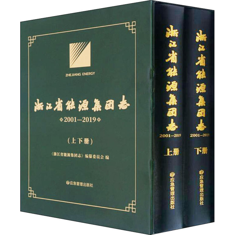 音像浙江省能源集团志 2001-2019(全2册)陆翔编
