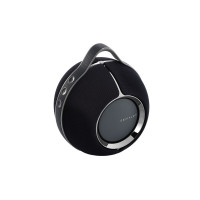 DEVIALET Mania帝瓦雷狂潮高保真音箱户外便携式音响 深黑色