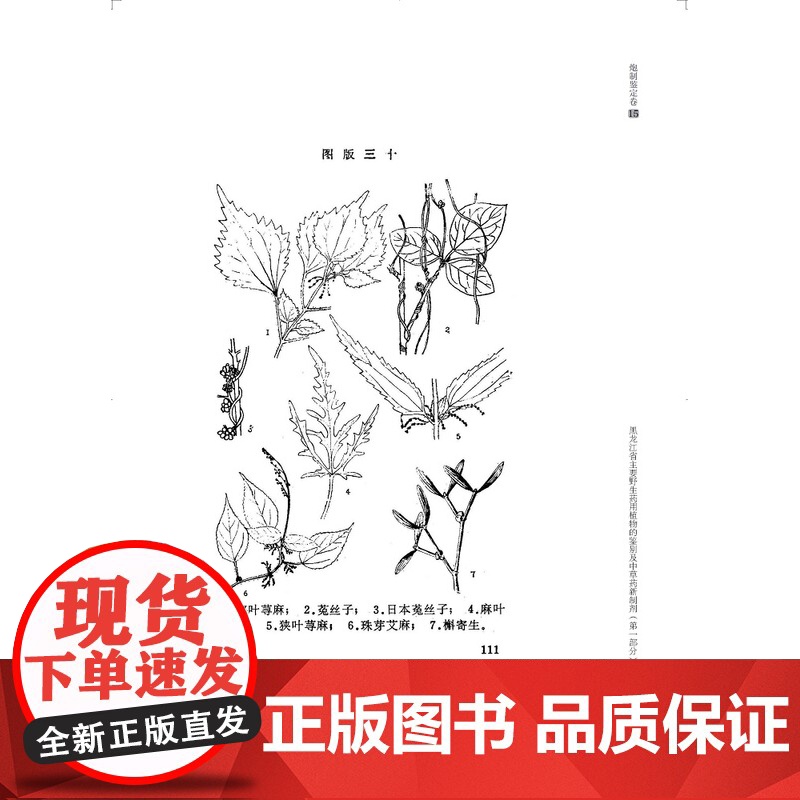 新中国地方中草药文献研究 1949-1979年 炮制鉴定卷全5册 北京科学技术 拍下之前联系在线客服可享高清大图