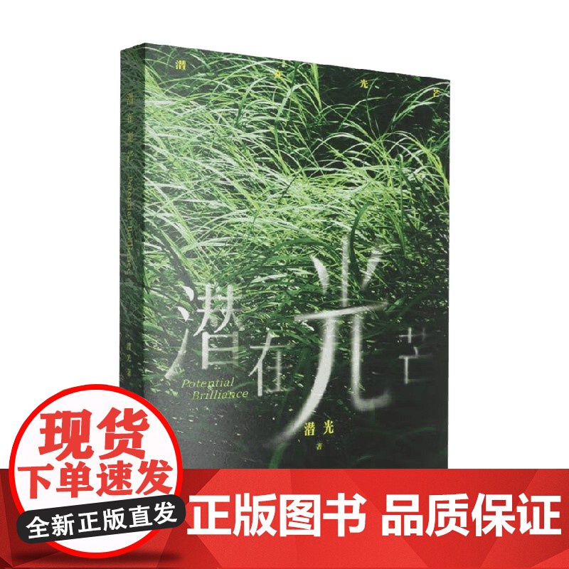 潜在光芒 潜光 著 摄影