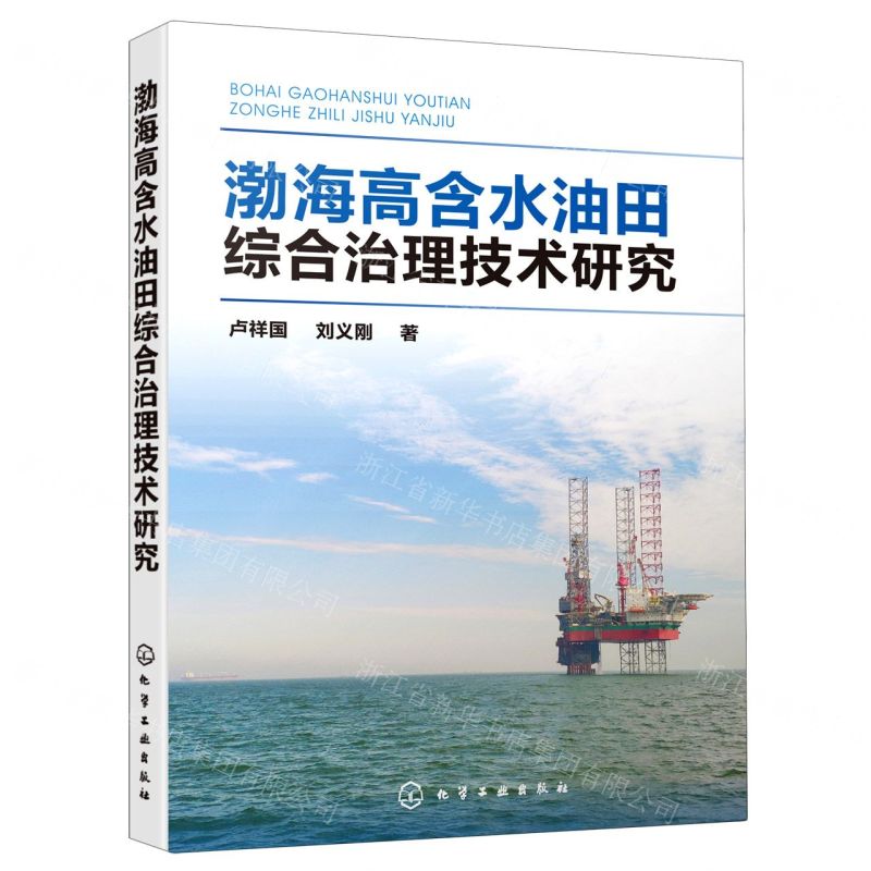 【N】渤海高含水油田综合治理技术研究-9787122376411