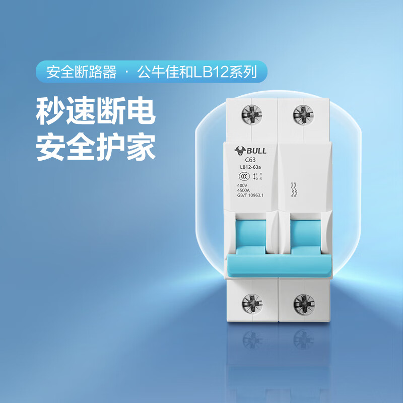 公牛BULLLBE12-63a/40A-2P/C电路保护器空气开小型总电闸过载保护 2P 40A 1个(单位:个)高清大图