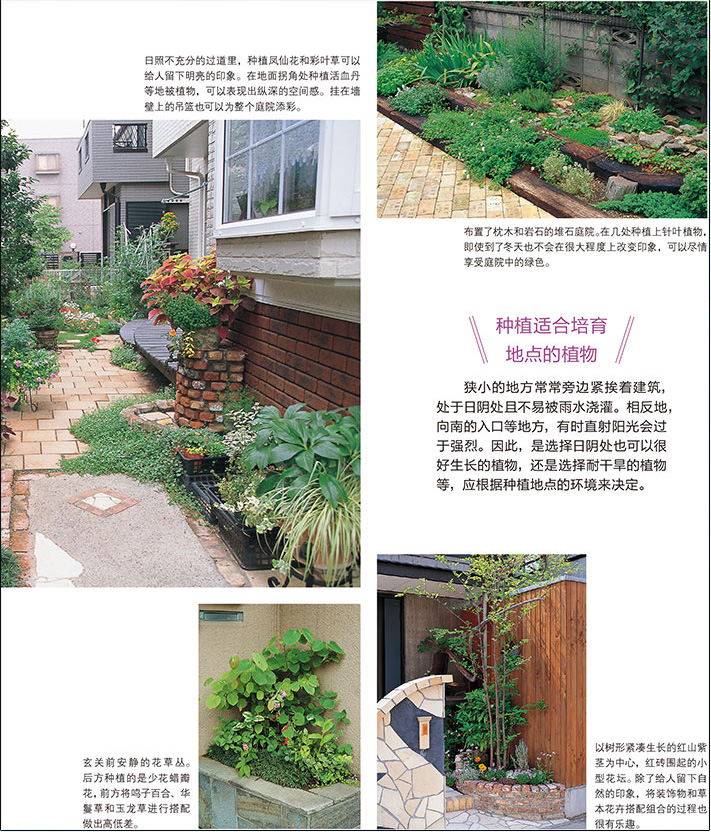 修篱筑道 家庭庭院的设计与布置 空间格局 庭院花卉植物绿化 别墅私家花园庭院装修园艺素材园林景观设计高清大图