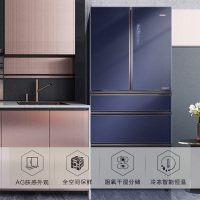 海尔(Haier)521升 法式多门冰箱 变频无霜 阻氧干湿分储 母婴空间 全空间保鲜电冰箱 BCD-521WSGKU1