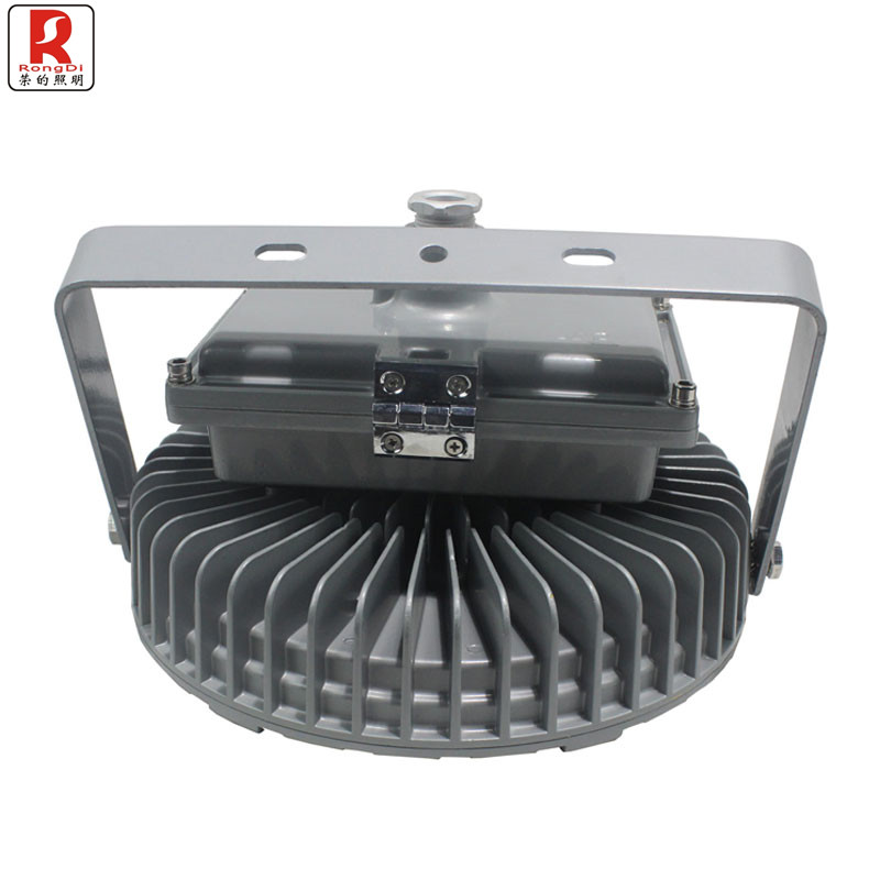 荣的LED泛光灯 ZR8181A 100W高清大图