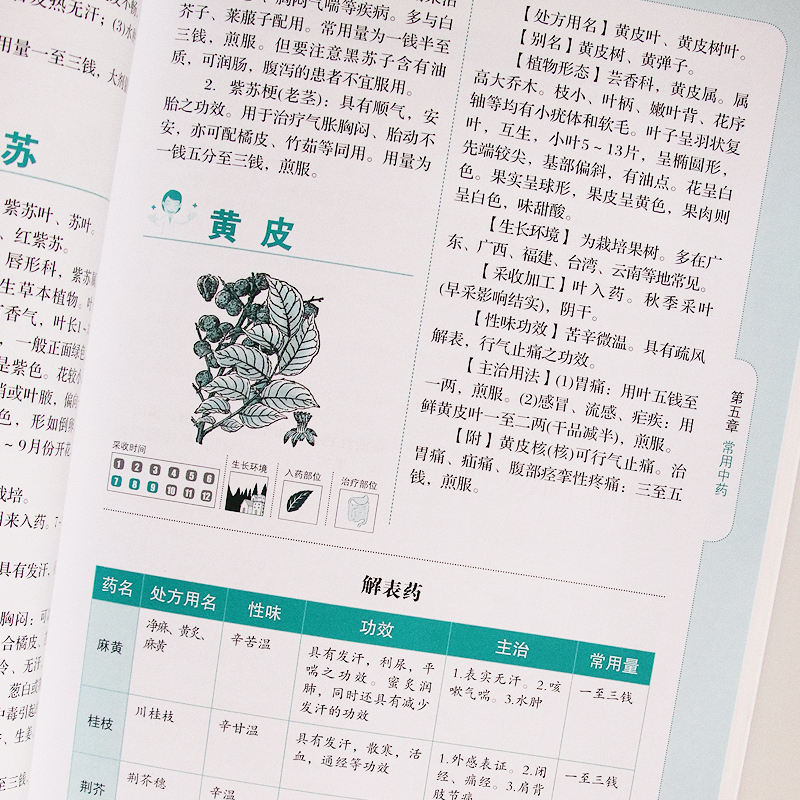 [正版]全图解家庭医生速查手册 家庭医生百科书 实用保健知识医学常识疾病防治家庭急救指南 中医理疗家用中药材图鉴药材介