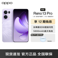 OPPO Reno13 Pro 蝴蝶紫 16GB+1TB 超美小直屏 AI高清实况照片 IP69满级防水 智能拍照手机