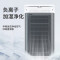 飞利浦 ACR2122C空调扇负离子净化冷风扇 家用办公水冷风机轻音低噪制冷节能小空调