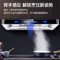 [国标顶配]新飞欧式抽油烟机家用吸烟机大吸力自清洁直吸式脱排油烟机单机顶吸式单烟机平吸式t型排烟罩 仙风