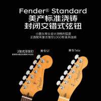 芬达吉他(Fender)美芬美专2代电吉他 美产专业二代ST款单单单拾音器电吉它 玫瑰木指板