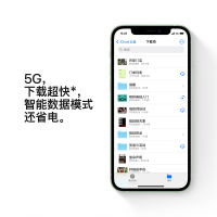苹果(Apple)iPhone 12 256GB 绿色 移动电信联通5G全网通 A14处理器 5G速度 瓷晶面板 航空级铝金属边框 夜间模式 后置双1200万像素 5G全网通手机