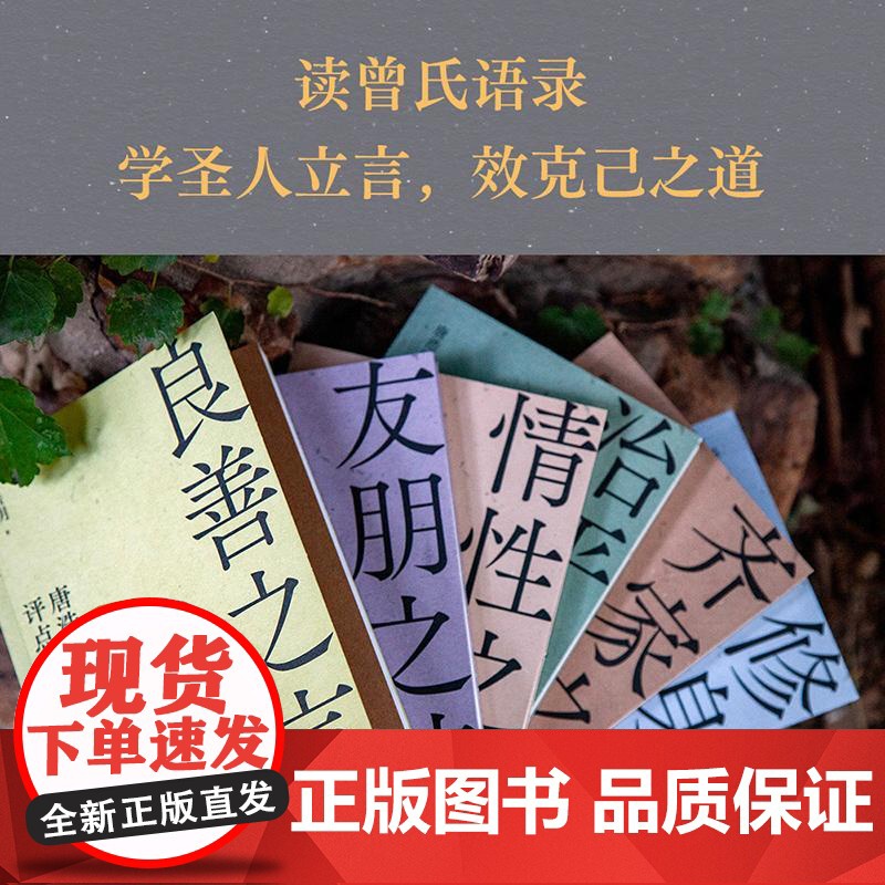 唐浩明评点曾国藩全6册 良善之言/齐家之方/情性之咏/修身之道/友朋之谊/治平之策 天津古籍出版社果麦出品高清大图