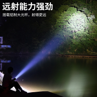 三极户外(Tripolar) TP3352 便携充电宝手电二合一强光迷你户外防身充电LED登山战术工作灯