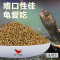 龟粮饲料通用乌龟饲料石钱金龟粮幼巴西龟草龟鳄龟小乌龟龟食