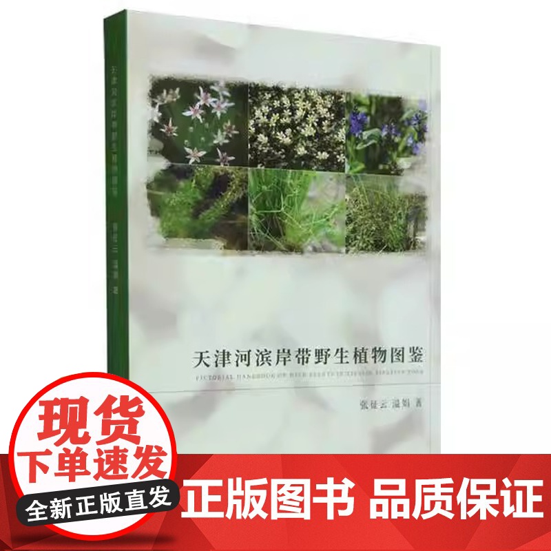 天津河滨岸带野生植物图鉴 张征云,温娟 2023天津大学出版社9787高清大图
