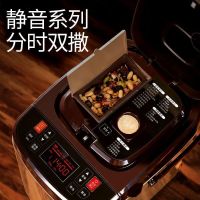 柏翠（Petrus)PE9800全自动和面家用面包机 双撒料多功能静音 彩钢机身