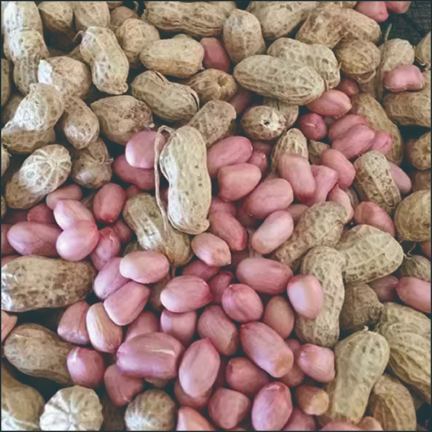 新全新花生1kg/袋高清大图
