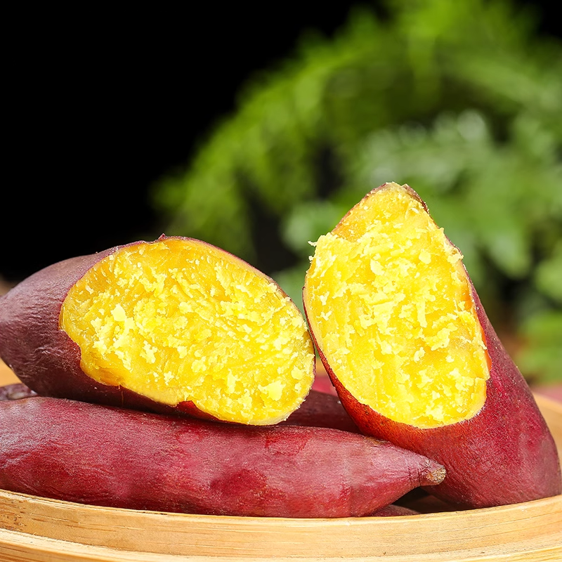 [西沛生鲜]海南新鲜小香薯 净重8.5斤 中果 板栗红薯新鲜现挖农家自种地瓜蜜薯软糯香甜