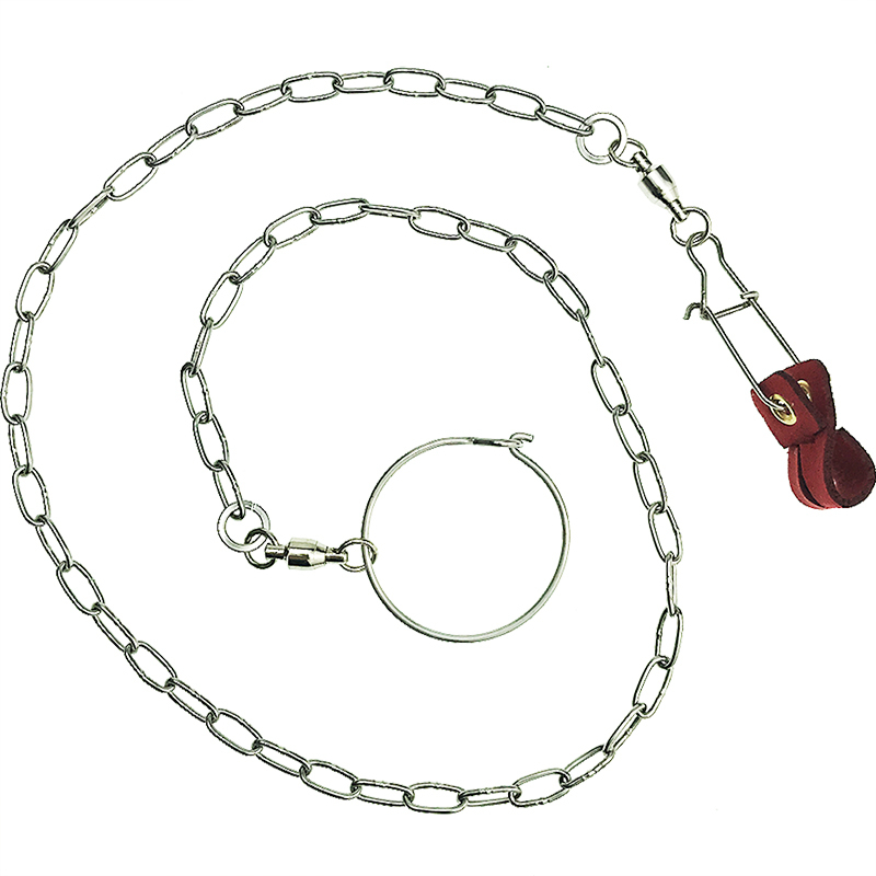 鹦鹉鸟用皮套脚环护脚脚套喜鹊乌鸦八哥鹩哥鹰鸽子脚套脚链双孔太空银