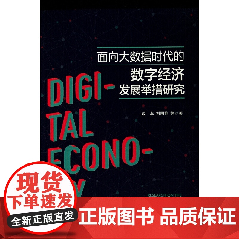 面向大数据时代的数字经济发展举措研究高清大图
