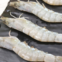 【已检疫】基围虾毛重4斤70-100净重2.8斤秘鲁白虾 海产冷冻虾海鲜生鲜水产 九善食