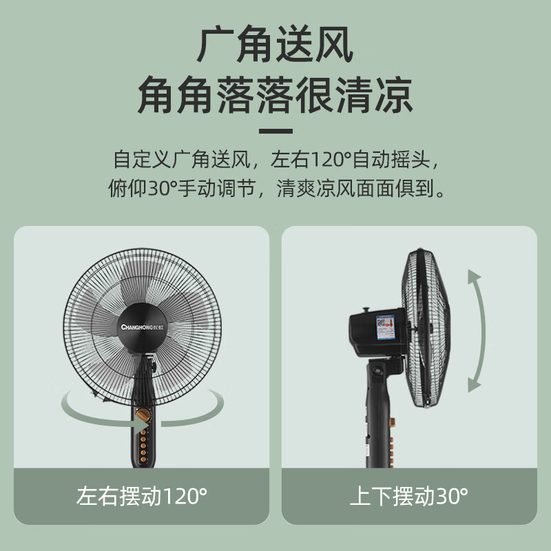 长虹(CHANGHONG) 电风扇CFS-16P04高清大图