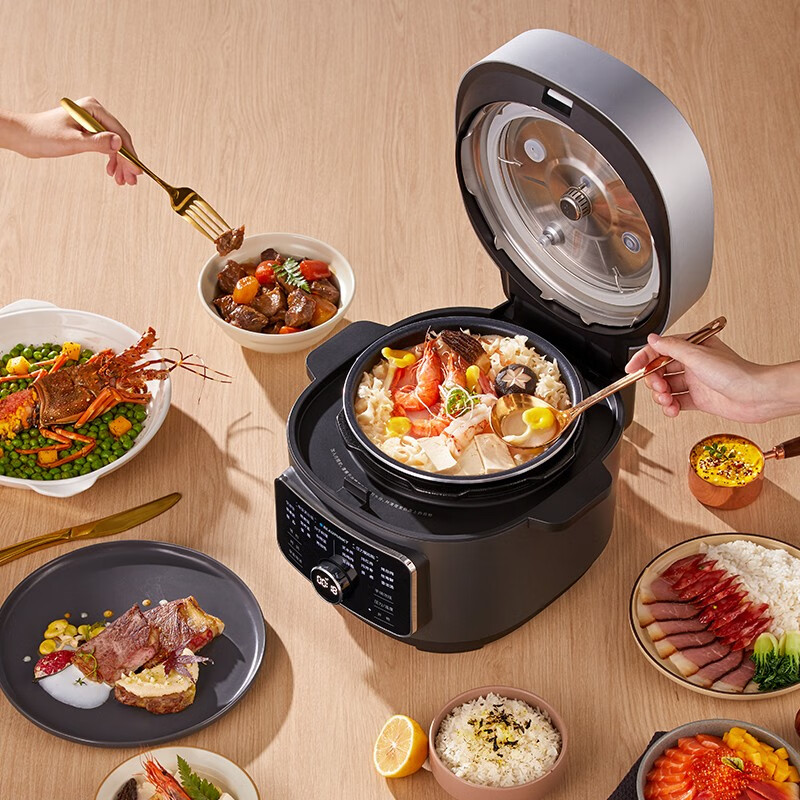 蓝宝(BLAUPUNKT)蓝宝电压力锅电饭煲家用3L全自动排气小型低温分子料理 石岩灰 3L BP -FB02高清大图