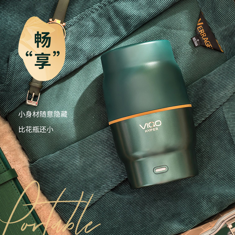 魅果（vigo）养生壶办公室便携小型煮茶器家用多功能mini玻璃煮花茶壶