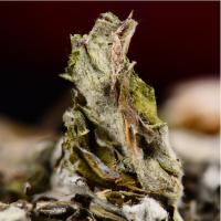 干艾叶艾草 天然500g泡脚蕲艾叶干艾叶草配红花非同仁堂