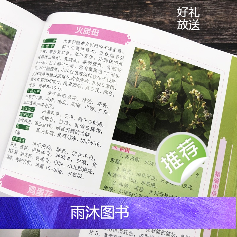 [正版]精编中国药典中药原色图谱 中草药图鉴图谱 中国药材图鉴 中医学书籍中药材大全 300余种常用中草药识别应用原色高清大图
