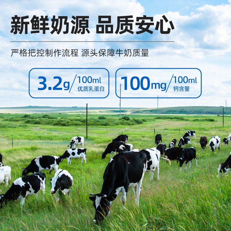 新希望琴牌纯牛奶200ml*24盒整箱新鲜儿童孕妇成人营养早餐奶高清大图