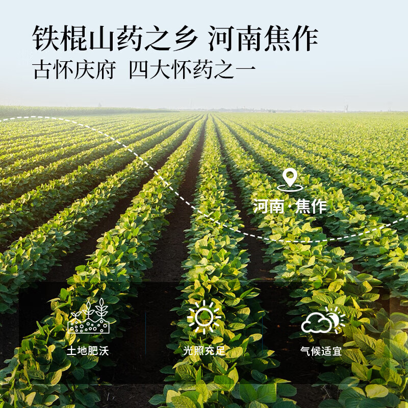北京同仁堂铁棍山药粉代餐粉营养早餐即冲即食怀山药熟粉500g