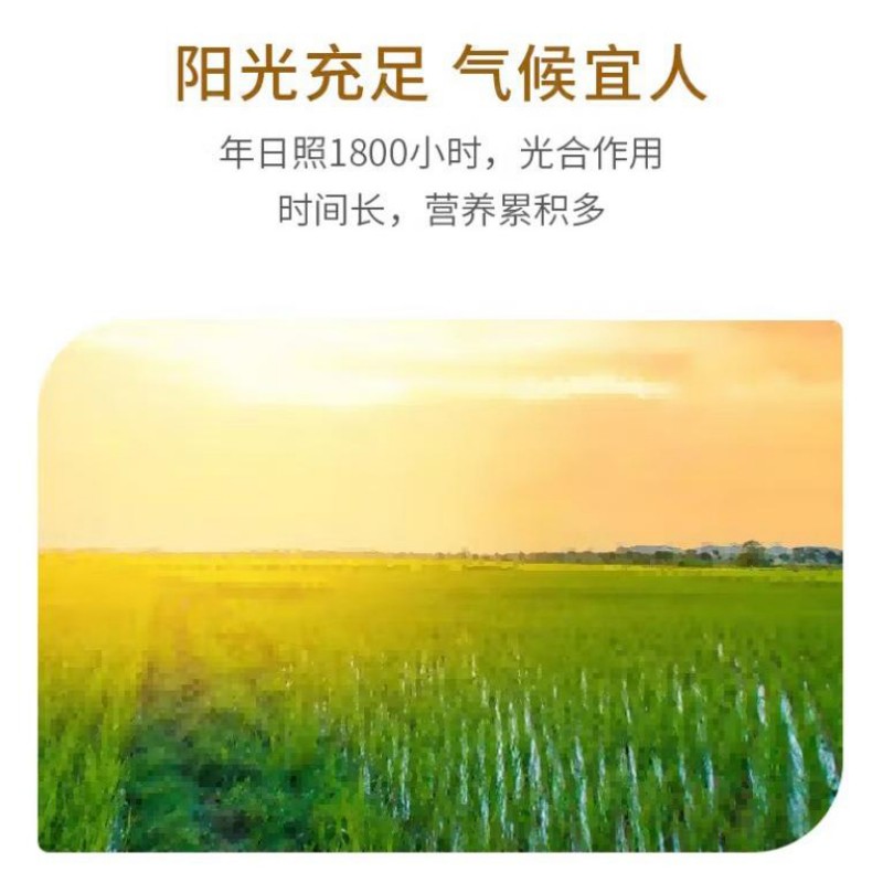乐养优品 东北珍珠米/2.5KG高清大图