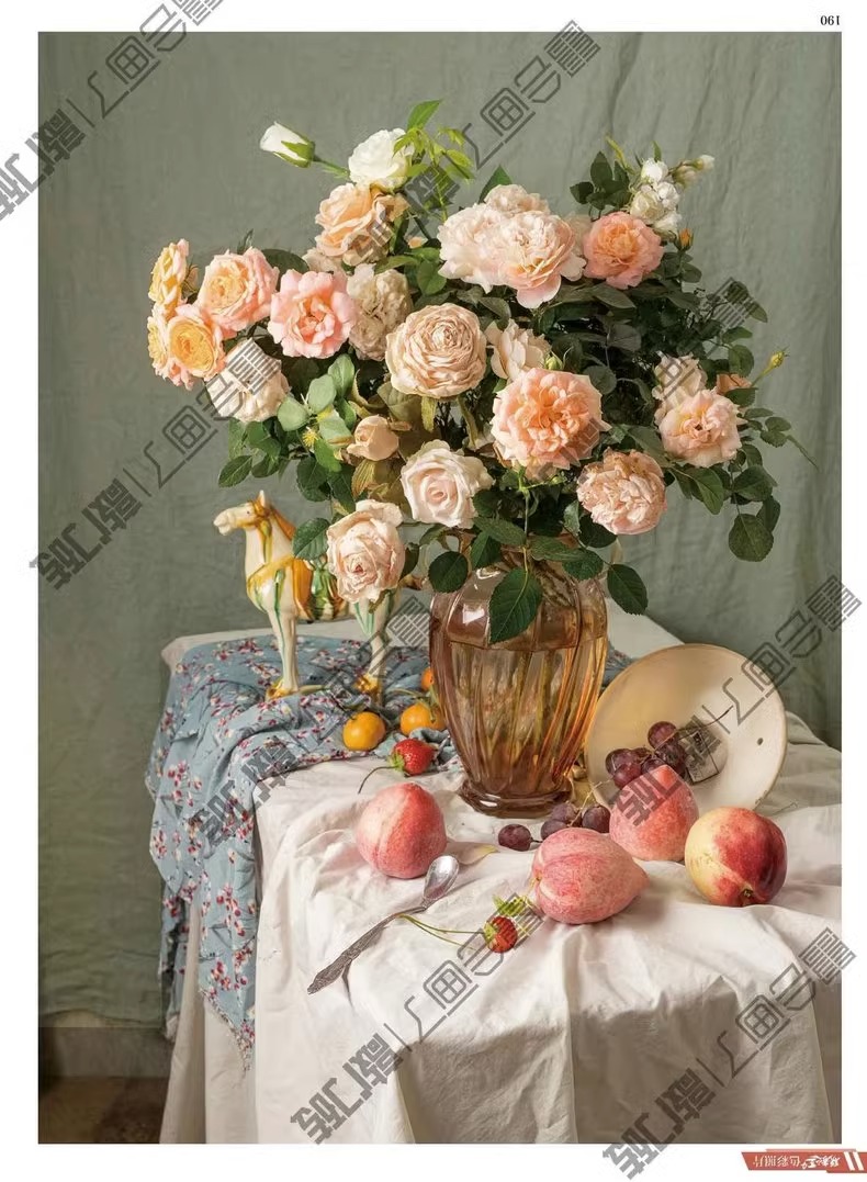 [正版]联考之王4色彩照片 2023敲门砖钟伟安高清大图