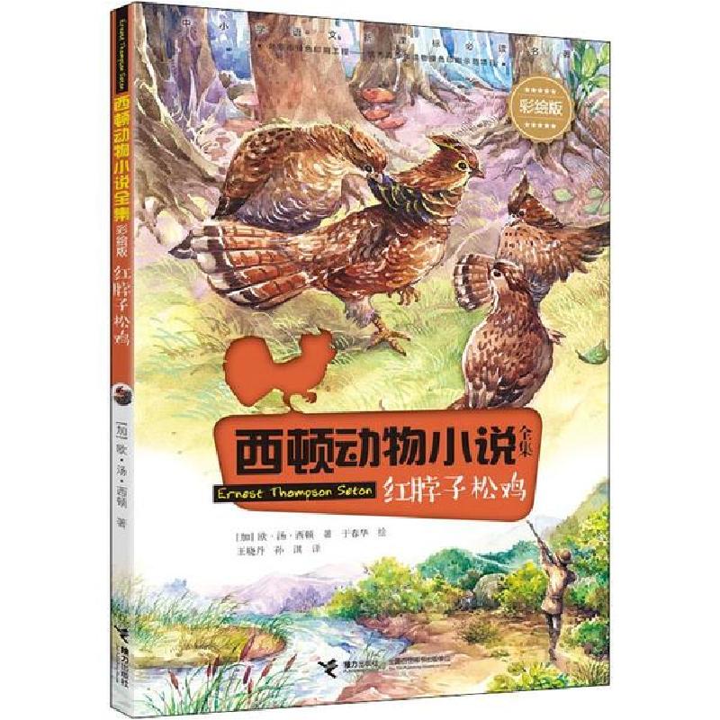 正版新书]西顿动物小说全集:彩绘版•红脖子松鸡欧·汤·西顿97875高清大图
