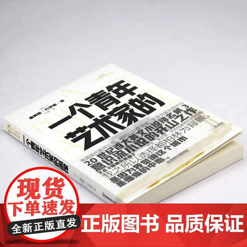 一个青年艺术家的画像 詹姆斯乔伊斯著二十世纪百大英文小说自传体小说书籍高清大图