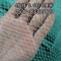 渔网片聚乙烯捕鱼网养鱼网有结网围网拦网养殖网养鸡网拦河隔断网 10平方价格 12股线网孔3厘米