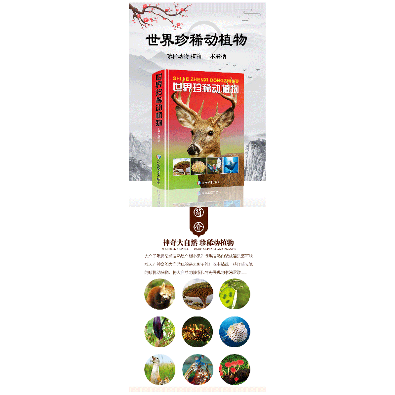 正版新书]世界珍稀动植物孙祥盛9787502092498高清大图
