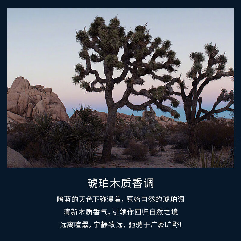 迪奥(Dior)旷野男士香水男持久留香生日礼物男送男朋友情人节礼物 旷野男士淡香水(60ml)高清大图
