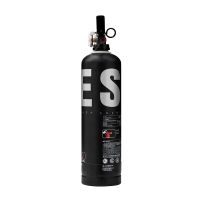 神龙 灭火器 水基型(水雾)不锈钢环保灭火器2升 SAFE版黑银款 车载家用及商用灭火器2L MSWZ/2B 消防器材