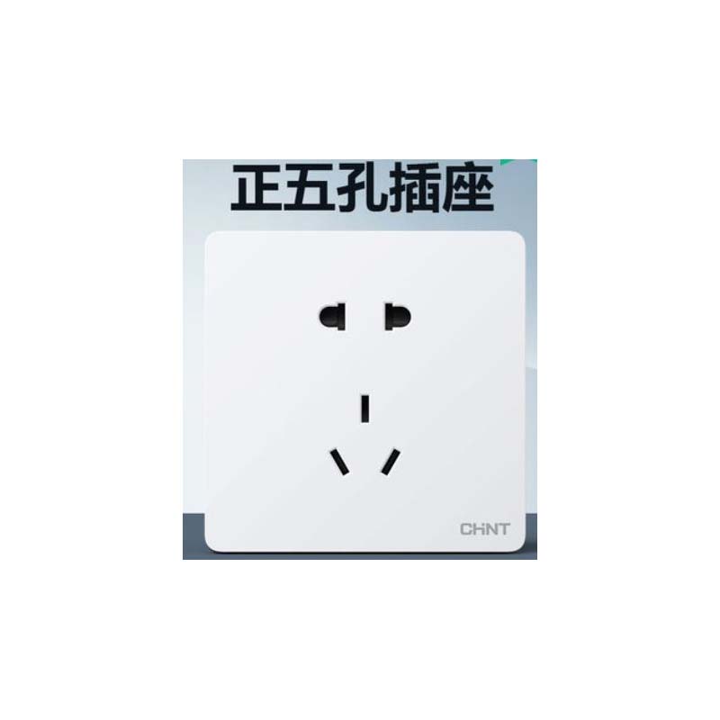 正泰 正五孔插座