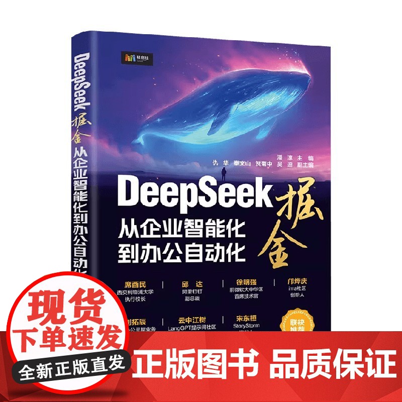 DeepSeek掘金 从企业智能化到办公自动化 潘淳 著 计算机与互联网