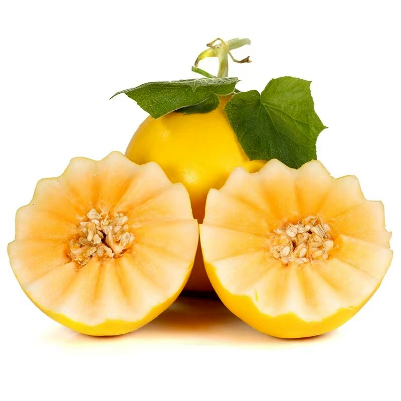 生鲜>水果>瓜类>俏果缘>民勤黄河蜜瓜甜瓜5斤水果新鲜当季整箱甘肃