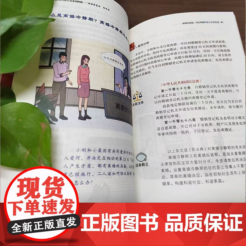 民法典:百姓生活案例图解-婚姻家庭编 法律常识收录社会生活中的常见普遍法律问题典型案例法律知识读物书籍高清大图