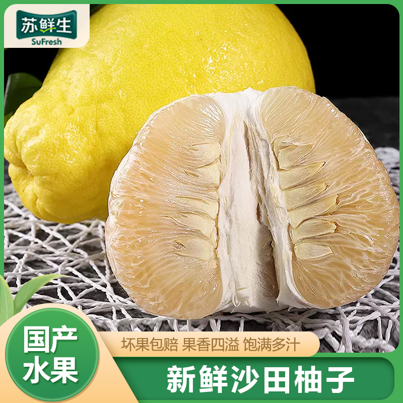 【苏鲜生】新鲜梅州沙田柚子 特大果 净重8.7斤 2个 新鲜柚子水果 蜜柚
