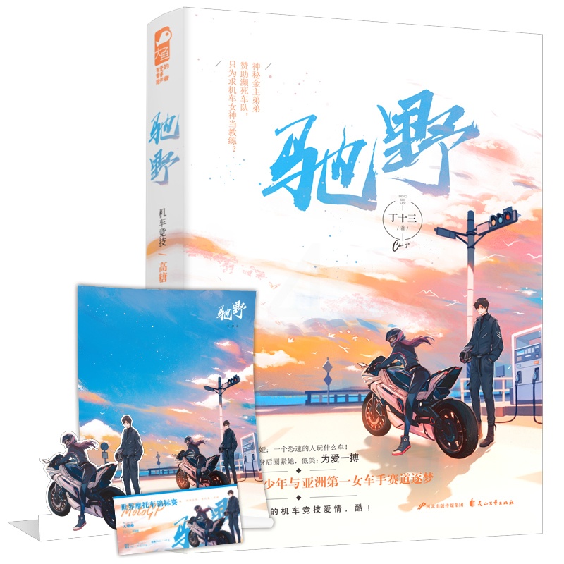 [正版]赠立卡+海报等 驰野 丁十三 大鱼文化女生都市青春文学热血赛车竞技爱情超甜高甜宠文言情小说书籍高清大图