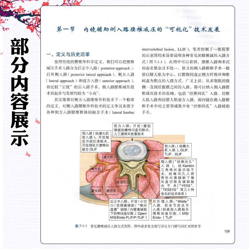 [正版]全可视脊柱内镜技术 北京大学医学出版社 9787565930157