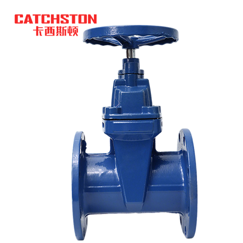 卡西斯顿 球墨铸铁闸阀 DN65 个高清大图